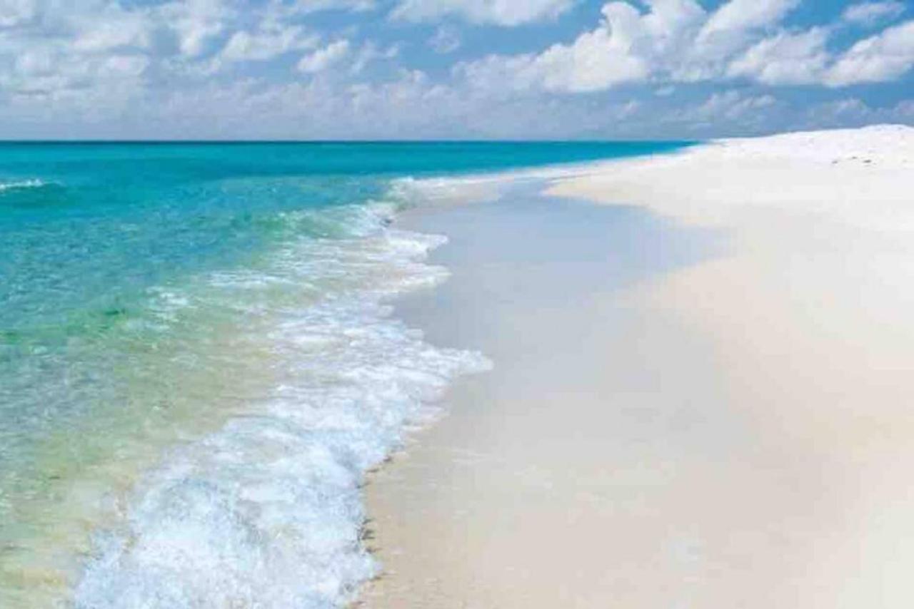 Walk To Downtown Seafood Market Bay Views Pensacola Bagian luar foto